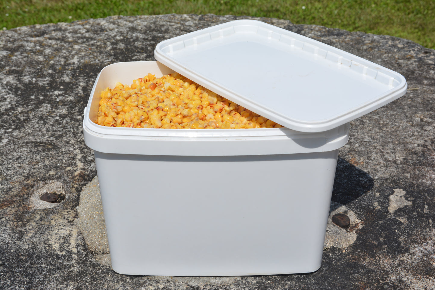 Maize